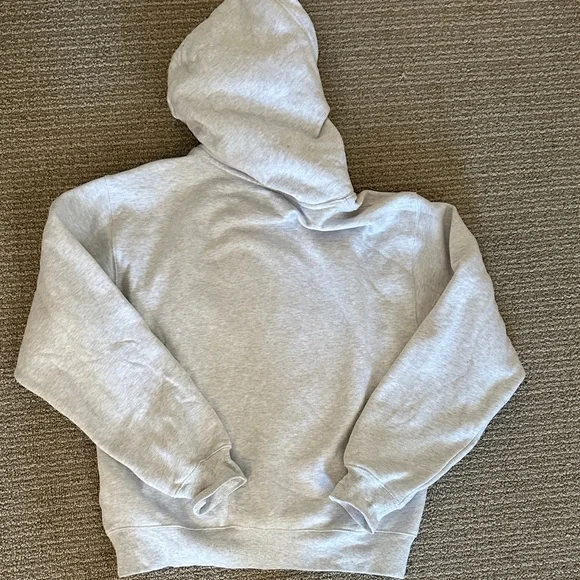 Aritzia Perfect Fit Hoodie - Picture 7 of 8